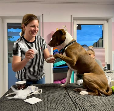 Marissa Füger beim Erste Hilfe Kurs Hund - Marissa behandelt einen Hund