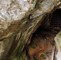 Knoxville, TN Travel - Mine opening along a wooden trail at Ijam's Nature Park