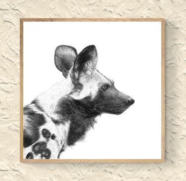 Wildlife Art - African Wild Dog