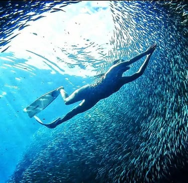 a person swimming in a school of fish turning into a tunnel