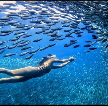 a woman swimming in the ocean chasing the sardines