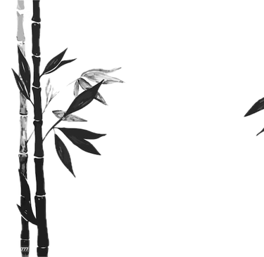 efficience, concentration, opportunité, victoire, créativité, relations saines, 