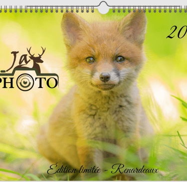Calendrier 2026 JayPhoto, couverture renardeau — format 20×30