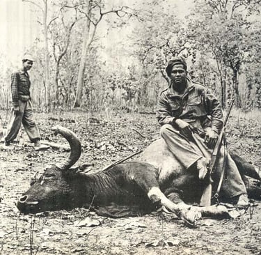 Last Photo of a Kouprey