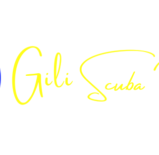 Logo for Gili Scuba Diving, the ideal place to try scuba diving and explore the world's oceans from Gili Trawangan.