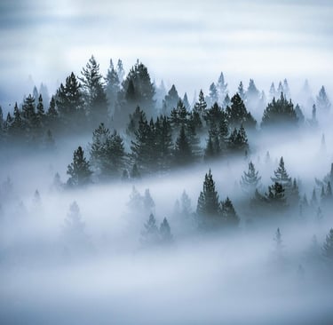 Photography and Mindfulness: How Capturing Moments Can Calm the Chaos of Modern Life