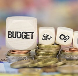 a bunch of coins and a dice with the word budget