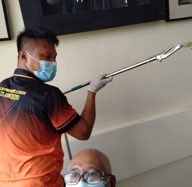 “Dumaguete pest control technician safely catching gecko inside a residence, using professional tool