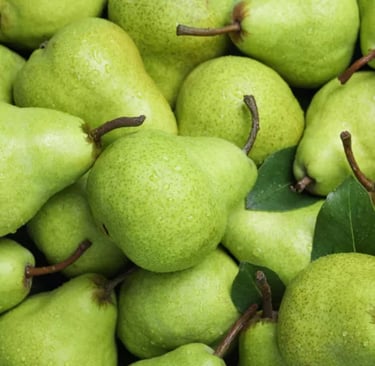 PEARS Ripening Room