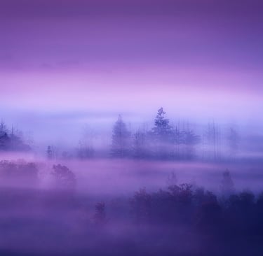 Landscape photographié par David Keochkerian