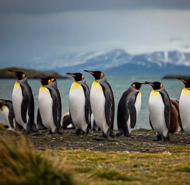 Экскурсии в Патагонии с русским гидом