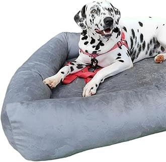 Lavar a cama do cachorro