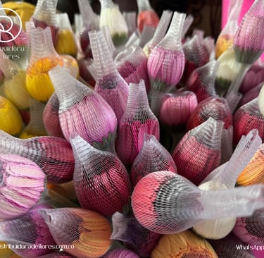 distribuidora de flores manizalez