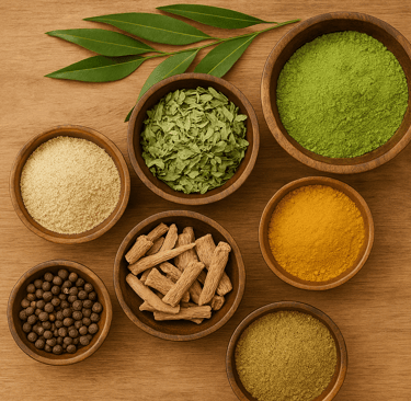 Top view of various Ayurvedic herbs in bowls on wooden surface