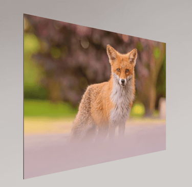 Tirage photo sur plaque aluminium sans cadre — exemple de rendu moderne