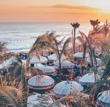 The Lawn Beach Club