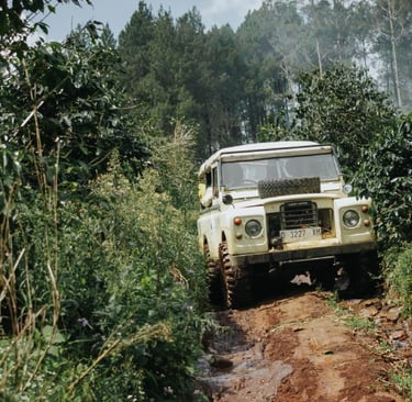 Offroad Land Rover Series III putih di jalur berlumpur berbatu di Pangalengan, dikelilingi oleh perkebunan hijau dan hutan pi