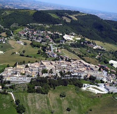 Vigneti e colline panoramiche nelle Marche