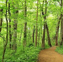 Knoxville, Tennessee Travel - trails at Ijams Nature Park, a nature & wildlife preserve