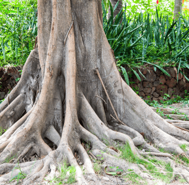 Art and Science of Grounding