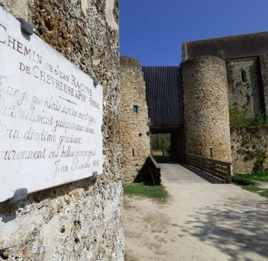 Chateau de la Madeleine à Chevreuse
