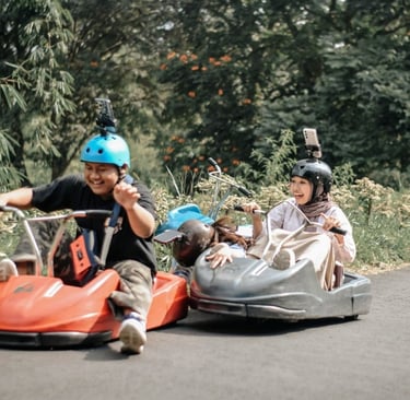 luge kart
