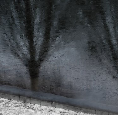 © juergen mack photography - moods