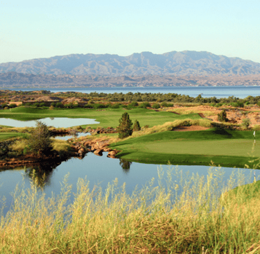 golf courses in lake havasu city arizona