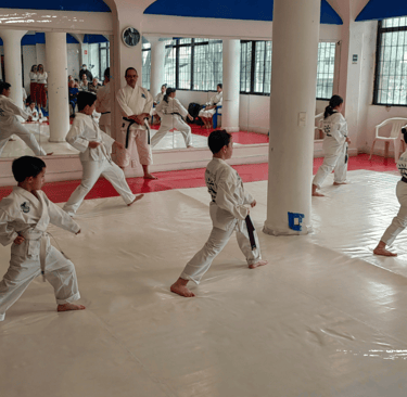 Karate en Narvarte: El Aliado para el Regreso a Clases en CDMX