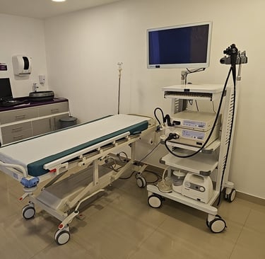 ENDOSCOPIA
