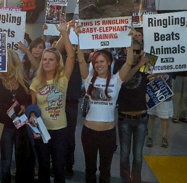 Lacey Sculls (née Conner) and other animal rights activists protesting animal cruelty at the circus