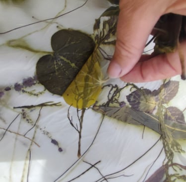 taller -ecoprint-menorca