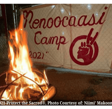 Protect the Sacred® Security Niimi' Makoons™ Indigenous Homeless Women Minneapolis  Minnesota Ojibwe