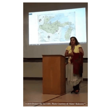 ©Protect the Sacred® Niimi' Makoons™ Water Walker Bad River Band of Lake Superior Chippewa EPA 