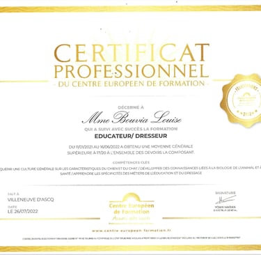 Certificat professionnel éducateur dresseur