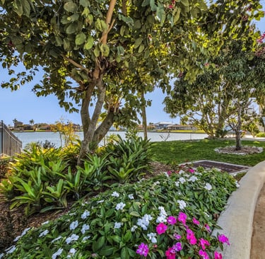 backyard design and renovation naples florida