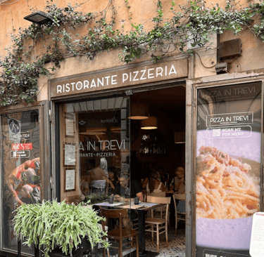 pizza at trevi Pizzaria