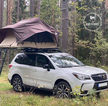 Little Bamboo palapine Subaru