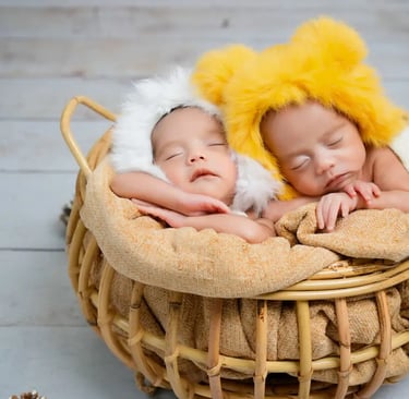 Newborn Photography twins together in bucket