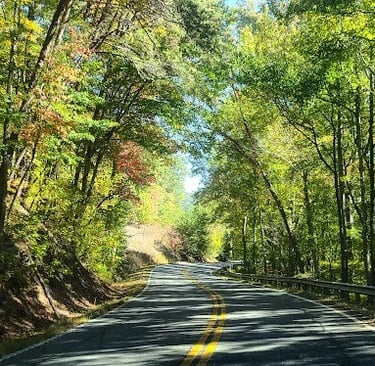 Chatsworth, GA - Road up to Fort Mountain Park