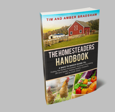 a book cover of the book the homesteader's handbook of homestead