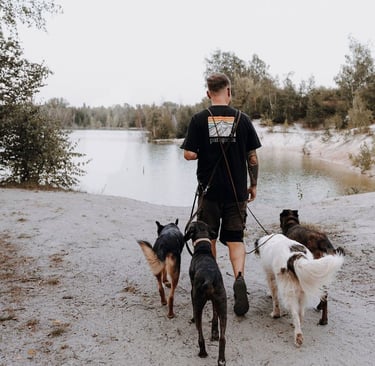 Basti Matern beim Social Walk