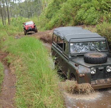 Land Rover Series IIa off road di jalur berlumpur Cikole Bandung, percikan air dan lumpur di hutan pinus