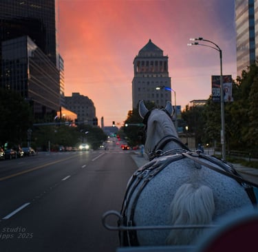 a horse drawn carriage in the middle of a STL St Louis Studio Lipps Photography 2025 