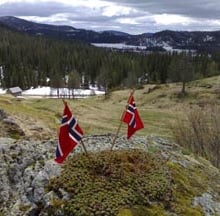 small norwegian flags planted in moss on a rock, woods, snow and mountains on the horizon