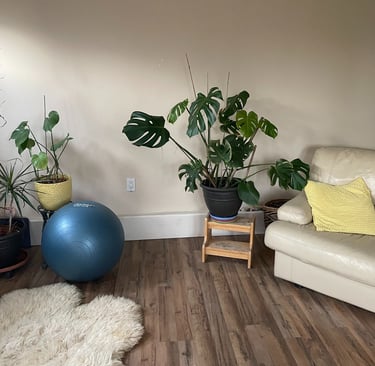 Treatment Room with a couch and plants