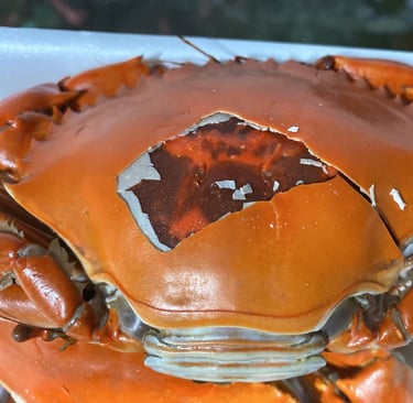 double skinned crabs