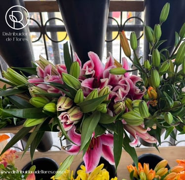 mayoristas de flores Mistrató