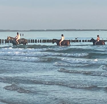 Tracey Billington on the beach at Strand Van Zoutelande, Netherlands