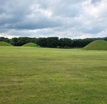 Field with tumuli